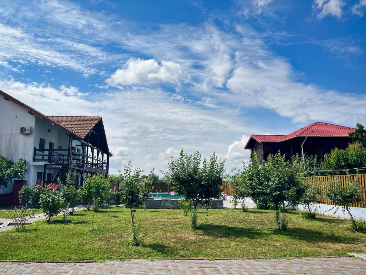 Pensiunea Crisan Exterior foto